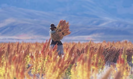 Agronomía