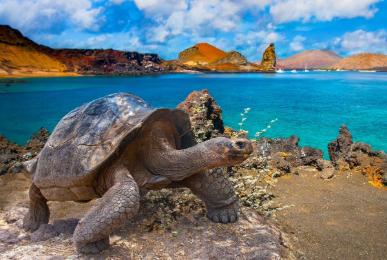 Islas Galápagos